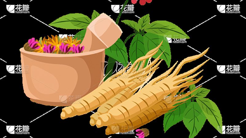 电动按摩枕：记忆棉与海绵的材质解析